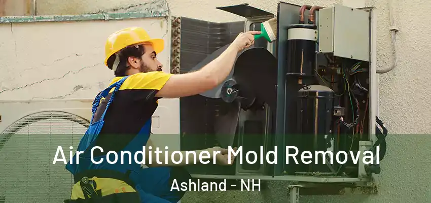Air Conditioner Mold Removal Ashland - NH