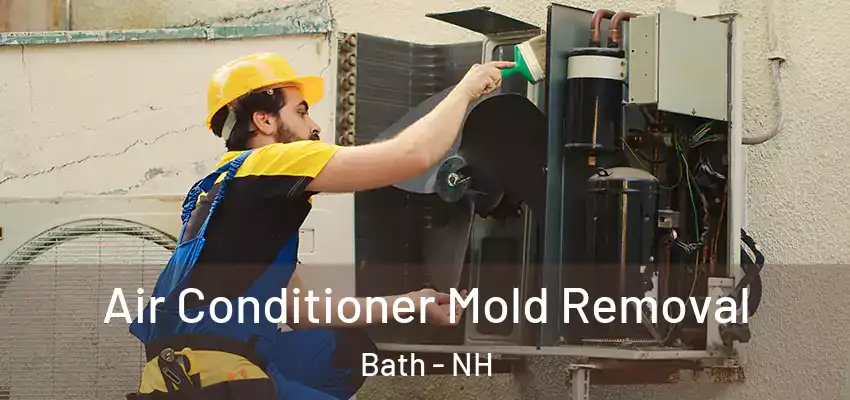 Air Conditioner Mold Removal Bath - NH