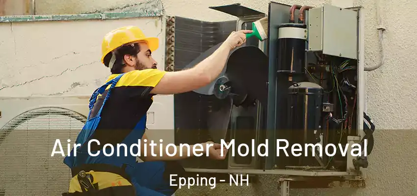  Air Conditioner Mold Removal Epping - NH
