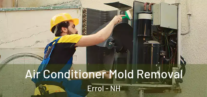 Air Conditioner Mold Removal Errol - NH