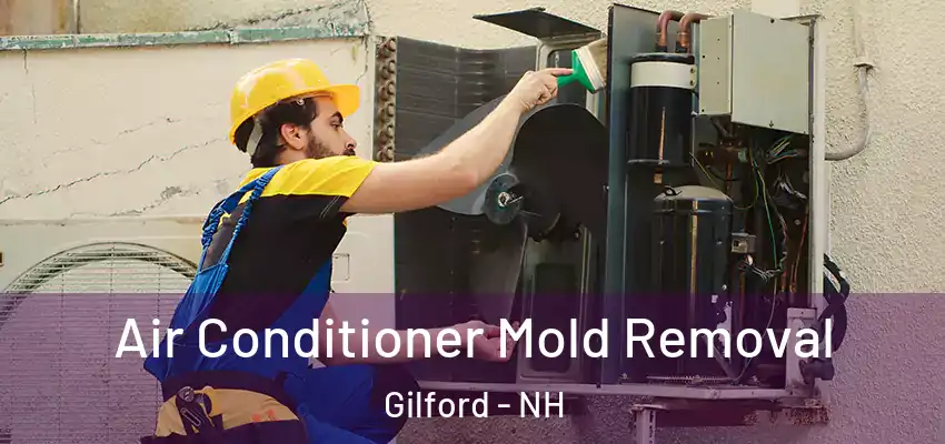  Air Conditioner Mold Removal Gilford - NH