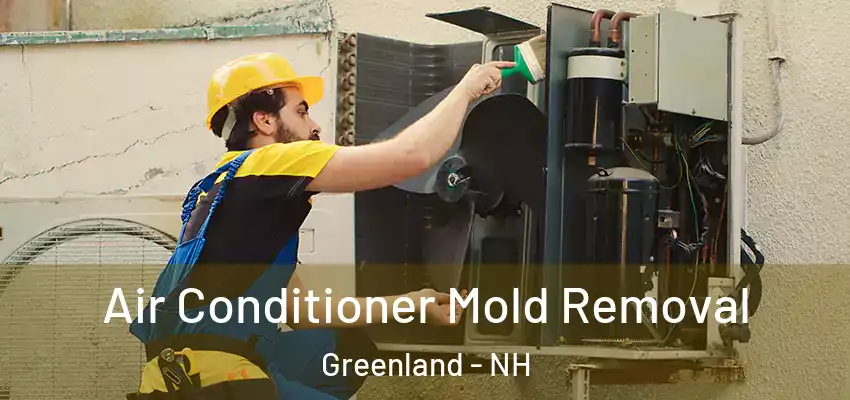  Air Conditioner Mold Removal Greenland - NH