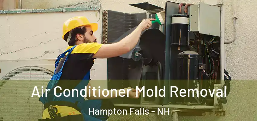  Air Conditioner Mold Removal Hampton Falls - NH