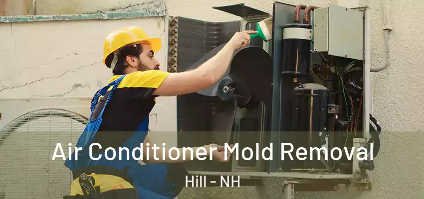 Air Conditioner Mold Removal Hill - NH