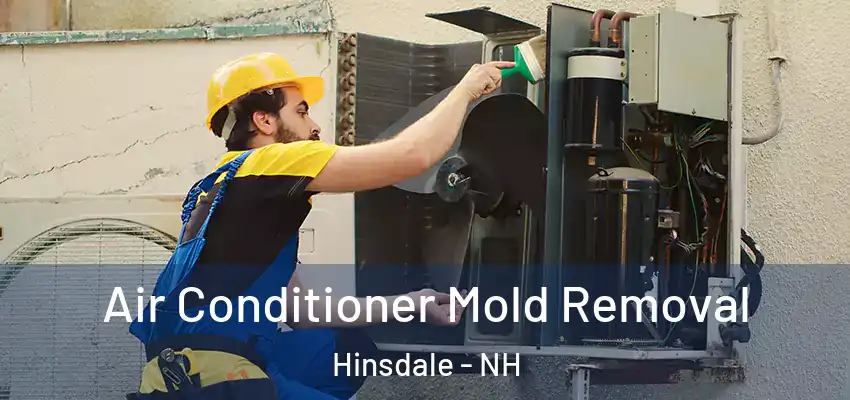  Air Conditioner Mold Removal Hinsdale - NH
