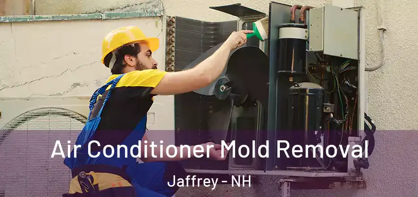  Air Conditioner Mold Removal Jaffrey - NH