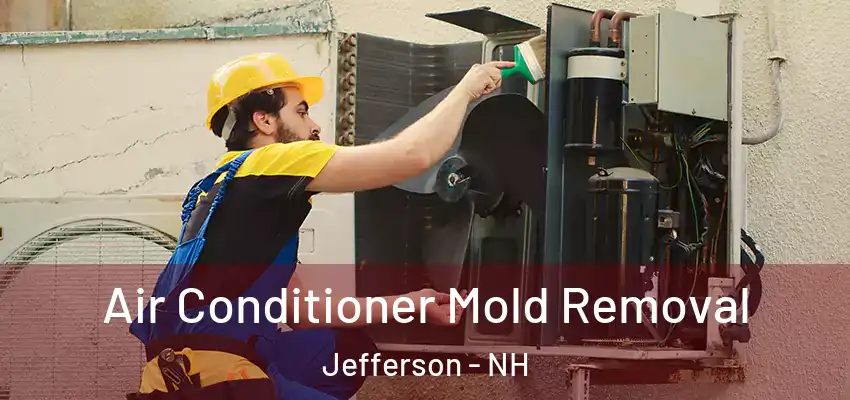 Air Conditioner Mold Removal Jefferson - NH