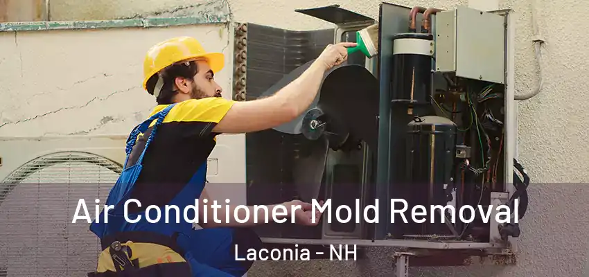 Air Conditioner Mold Removal Laconia - NH