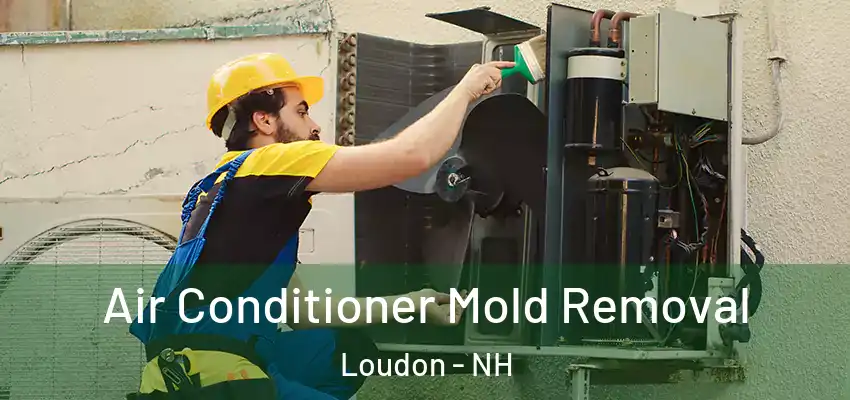  Air Conditioner Mold Removal Loudon - NH