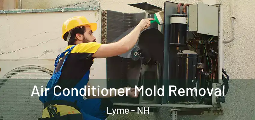 Air Conditioner Mold Removal Lyme - NH