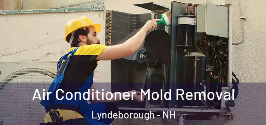  Air Conditioner Mold Removal Lyndeborough - NH