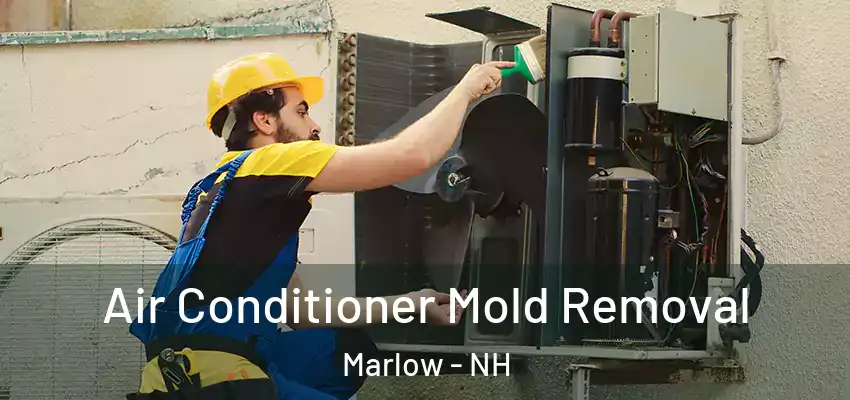  Air Conditioner Mold Removal Marlow - NH