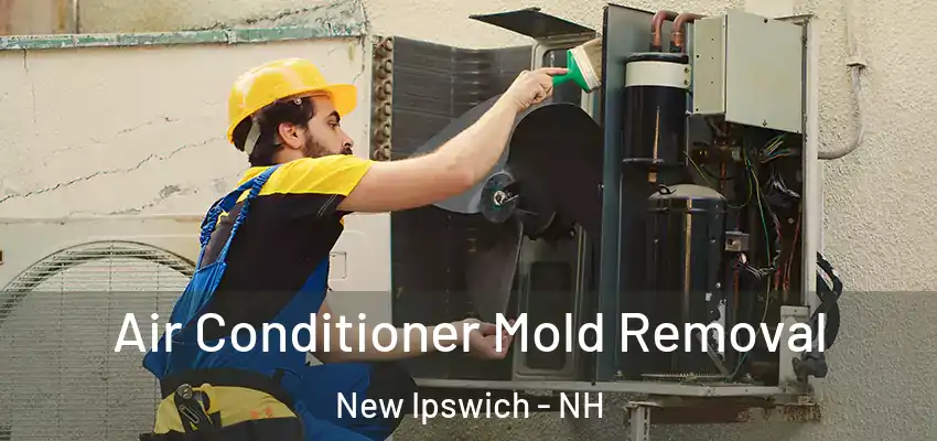  Air Conditioner Mold Removal New Ipswich - NH