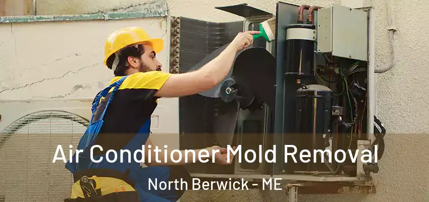  Air Conditioner Mold Removal North Berwick - ME