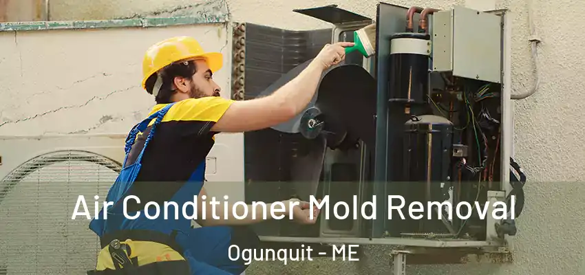  Air Conditioner Mold Removal Ogunquit - ME