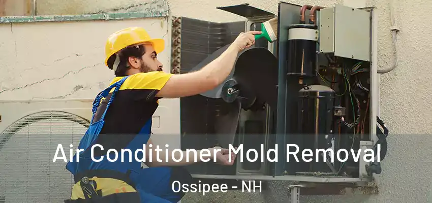  Air Conditioner Mold Removal Ossipee - NH