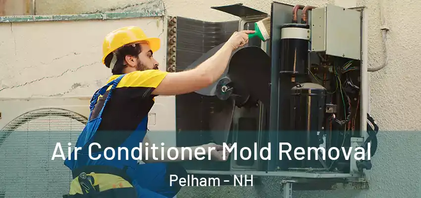 Air Conditioner Mold Removal Pelham - NH