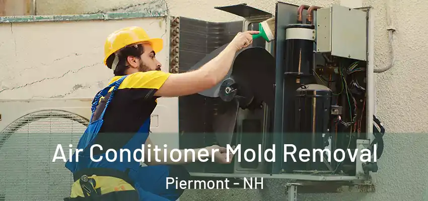Air Conditioner Mold Removal Piermont - NH