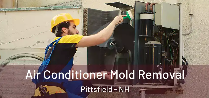  Air Conditioner Mold Removal Pittsfield - NH
