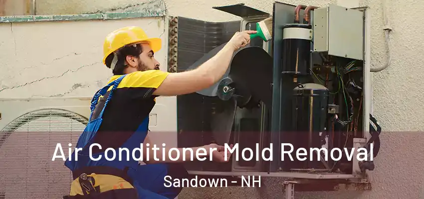  Air Conditioner Mold Removal Sandown - NH