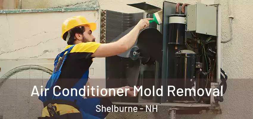 Air Conditioner Mold Removal Shelburne - NH
