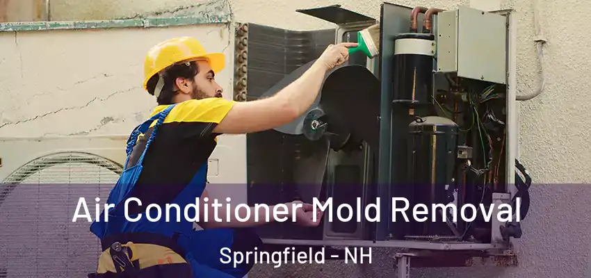 Air Conditioner Mold Removal Springfield - NH