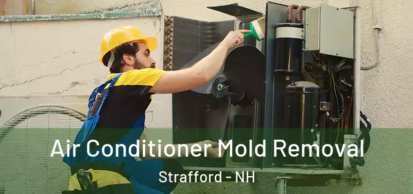  Air Conditioner Mold Removal Strafford - NH
