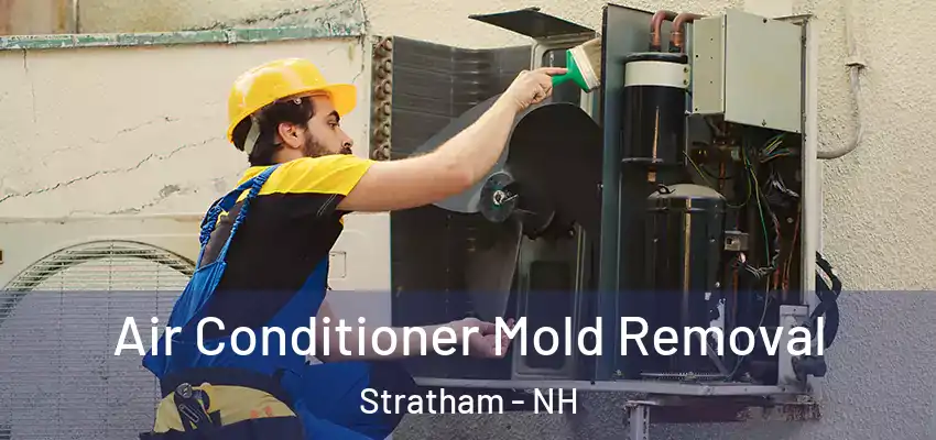  Air Conditioner Mold Removal Stratham - NH