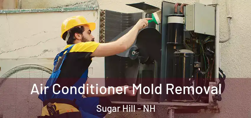 Air Conditioner Mold Removal Sugar Hill - NH