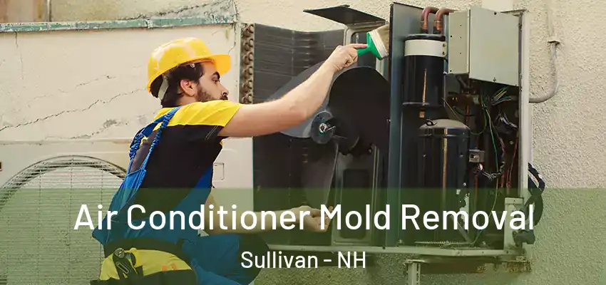  Air Conditioner Mold Removal Sullivan - NH