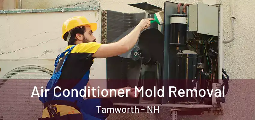 Air Conditioner Mold Removal Tamworth - NH