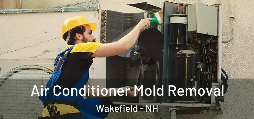  Air Conditioner Mold Removal Wakefield - NH