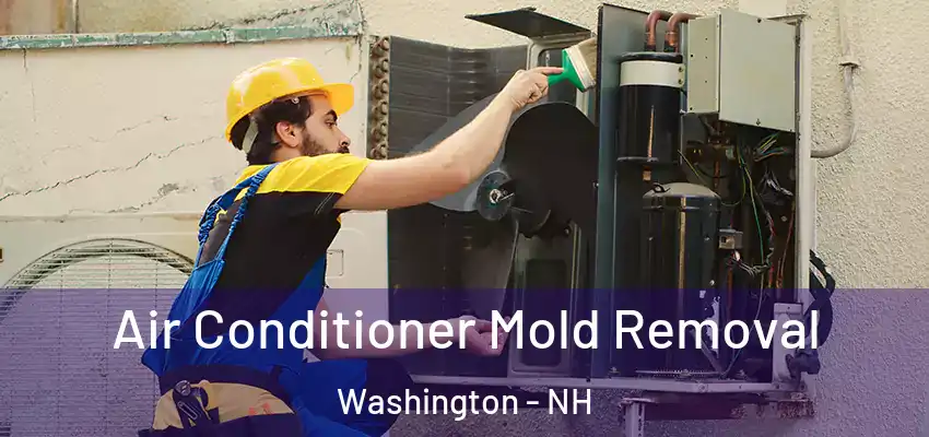  Air Conditioner Mold Removal Washington - NH