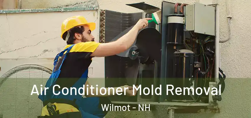 Air Conditioner Mold Removal Wilmot - NH