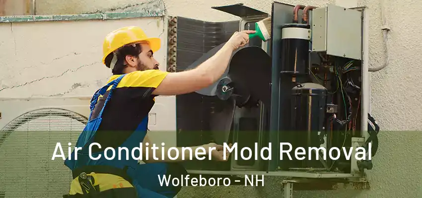  Air Conditioner Mold Removal Wolfeboro - NH