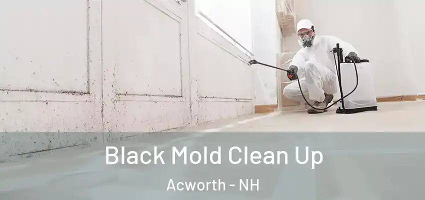  Black Mold Clean Up Acworth - NH