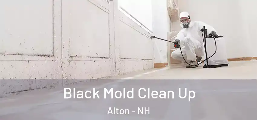  Black Mold Clean Up Alton - NH