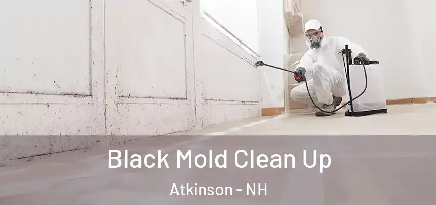  Black Mold Clean Up Atkinson - NH