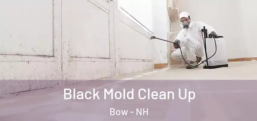  Black Mold Clean Up Bow - NH