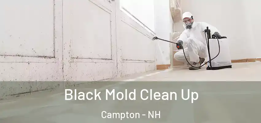 Black Mold Clean Up Campton - NH