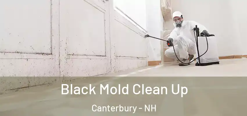  Black Mold Clean Up Canterbury - NH