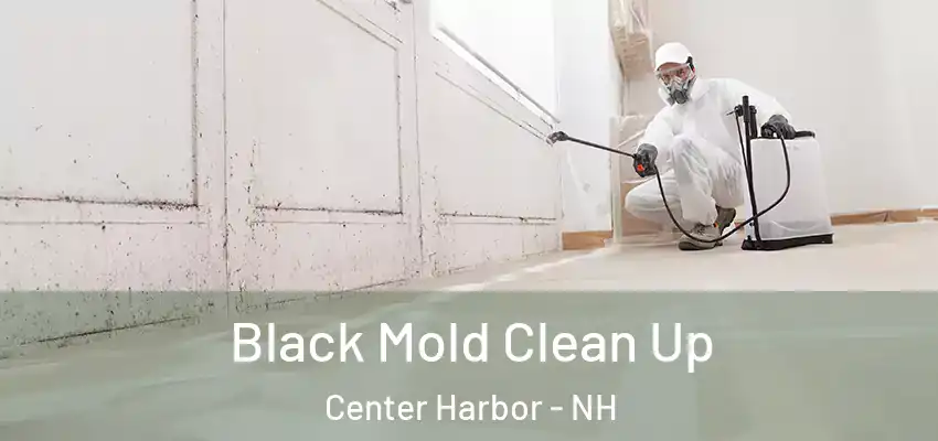  Black Mold Clean Up Center Harbor - NH