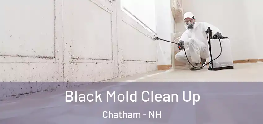  Black Mold Clean Up Chatham - NH