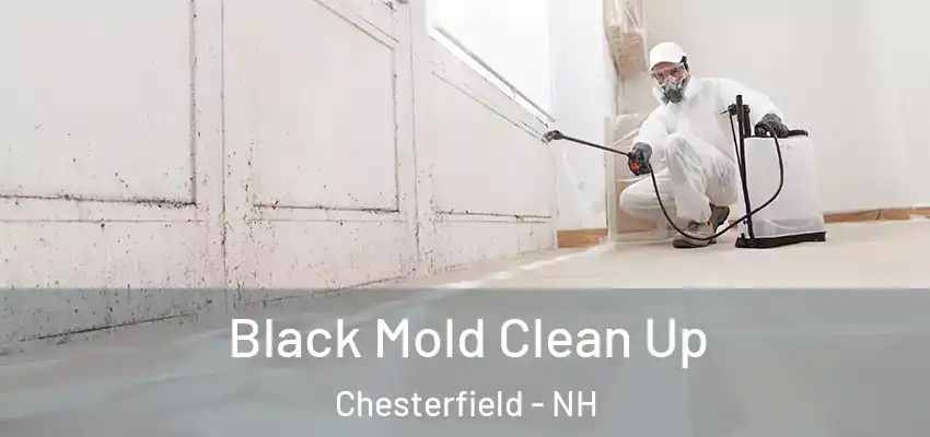 Black Mold Clean Up Chesterfield - NH
