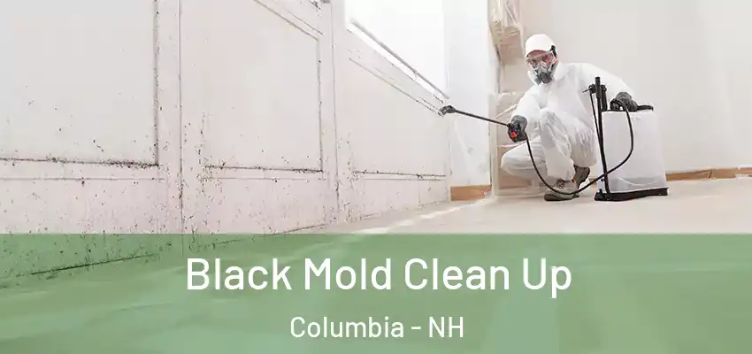 Black Mold Clean Up Columbia - NH