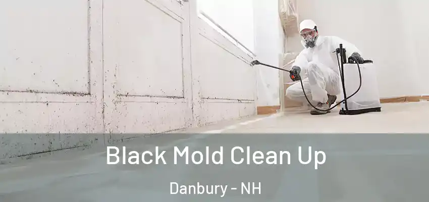 Black Mold Clean Up Danbury - NH