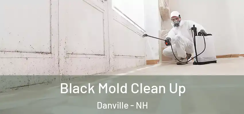  Black Mold Clean Up Danville - NH