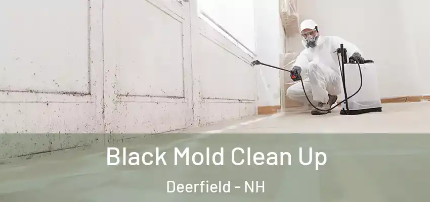 Black Mold Clean Up Deerfield - NH
