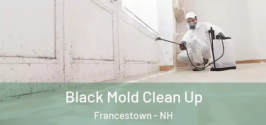  Black Mold Clean Up Francestown - NH
