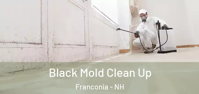  Black Mold Clean Up Franconia - NH